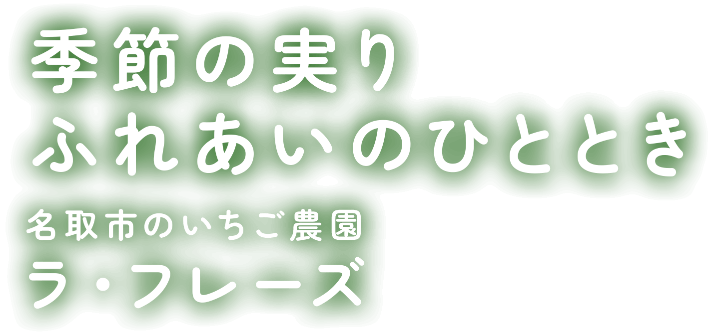 季節の実りふれあいのひととき名取市のいちご農園ラ・フレーズ